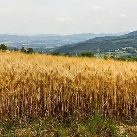 Amazing In Gualdo Cattaneo Pg *