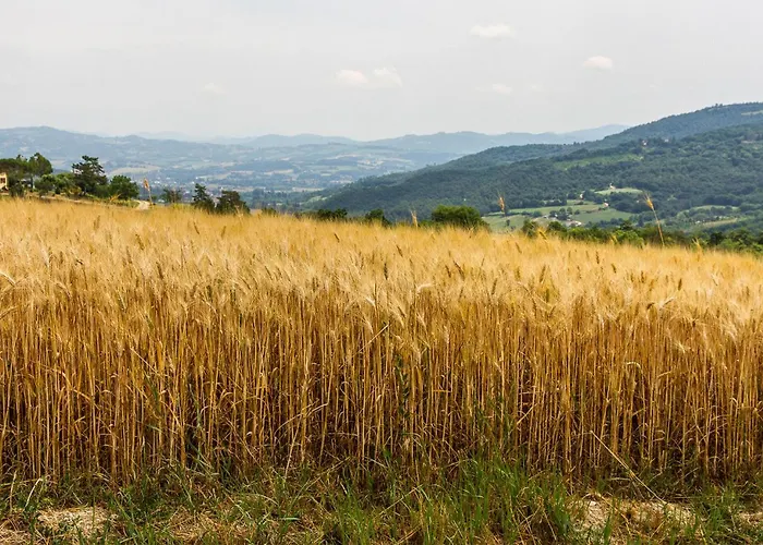 Amazing In Gualdo Cattaneo Pg *